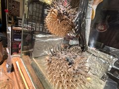 -炉胜·炉端烧·居酒屋