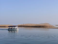 -苏州太湖湖滨国家湿地公园
