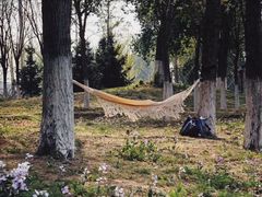 -长白岛森林公园