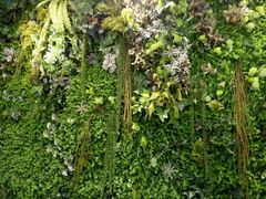 -执茶识麦(万达华府店)