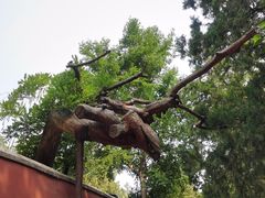 -潭柘寺景区