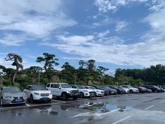 -罗红摄影艺术馆