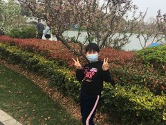 -昆山城市生态森林公园