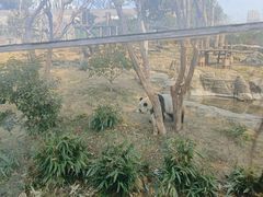 -武汉动物园