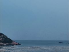 -枸杞岛