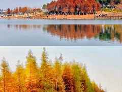 -洋湖国家湿地公园