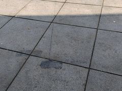 -大连君悦酒店