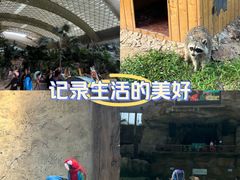 -杭州开元森泊度假乐园