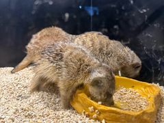 -太平洋海底世界