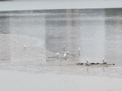 -怡海公园(桂城街道)