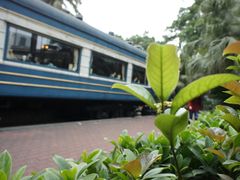 -火车头法国西餐厅