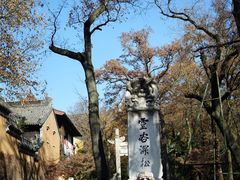 -灵谷景区