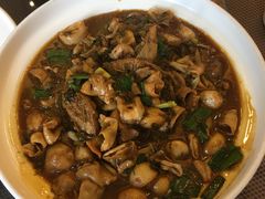 河蚌煮鱼泡-海景壹号大酒店(惠钱路店)