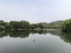 -白马涧龙池景区