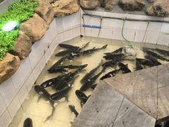 -春盛渔府(牛首山店)