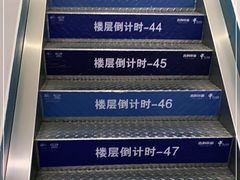 -龙塔