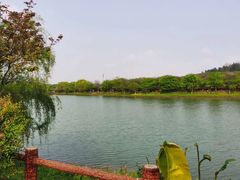-凤凰沟景区