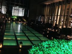 -四季酒店·空中花园 Aria on 9