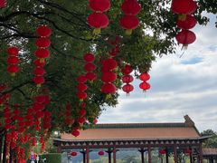 -顺峰山公园