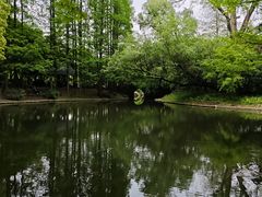 -上海共青森林公园