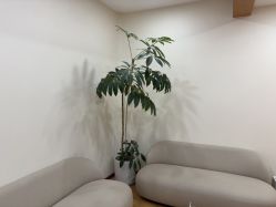 -HEYAN荷妍专业脱毛连锁机构