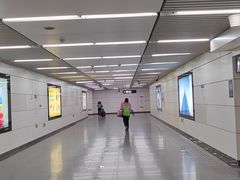 -大望路(地铁站)