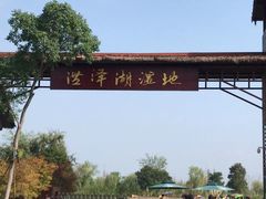 -泗洪洪泽湖湿地景区