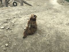 -新疆天山野生动物园