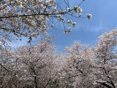-东湖生态旅游风景区