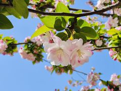 -元大都城垣遗址公园