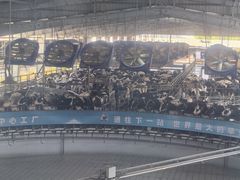 -光明牧业有限公司金山种奶牛场