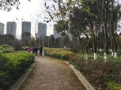 -重庆彩云湖湿地公园