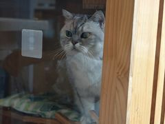 -艺味深尝(云锦路店)