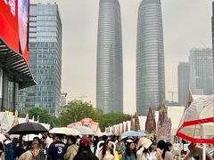 -合景·悠方(成都店)
