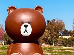 -滇池海埂公园