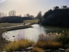 -思念果岭悦温泉