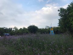 -广东花都香草世界旅游度假区