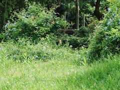 -人民公园(罗湖区)