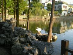 -东莞市可园博物馆