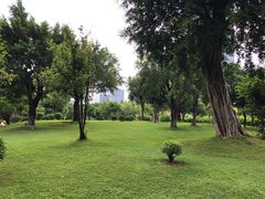 -南宁南湖公园