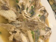 -9号小厨师(端平桥店)