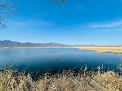 -野鸭湖国家湿地公园