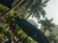 -星巴克臻选(深圳东海缤纷天地店)