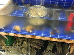 -阿杰臻选海鲜饭店(普陀山店)