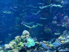 -欢乐海岸海洋奇梦馆
