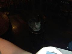 android_upload_pic-云端咖啡私房店(河松街店)