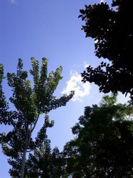 点击看大图 android_upload_pic-大望京儿童游乐场