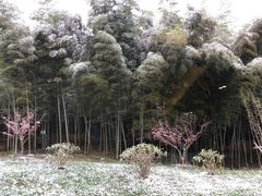 -苏州环秀晓筑养生度假村