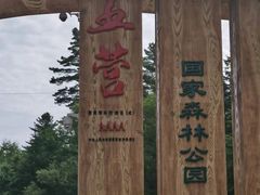 -五营红松林海景区