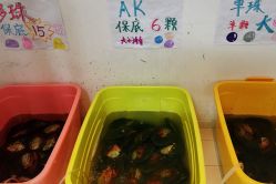 -邵老师打金·黄金加工(大望路总店)